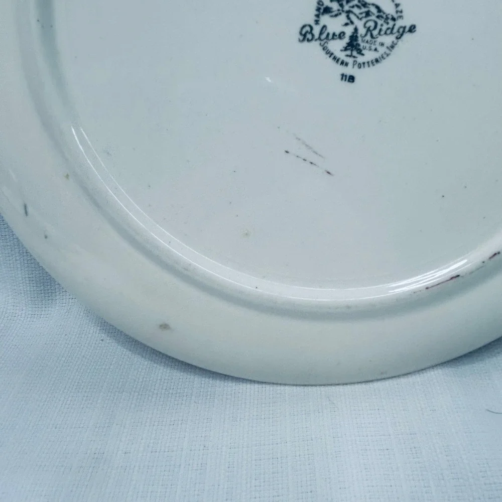 Vintage Blue Ridge Southern Potteries Hand Painted 9.5
